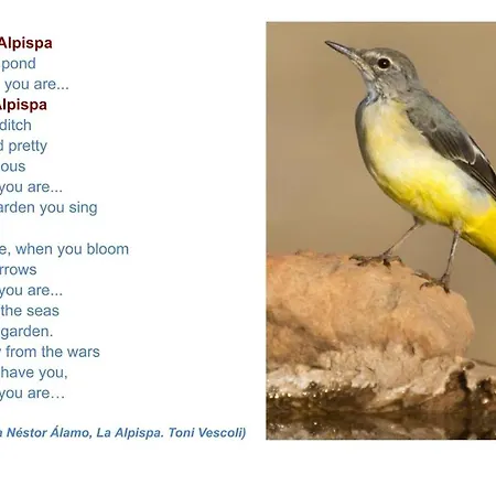 Casa Alpispa Appartamento