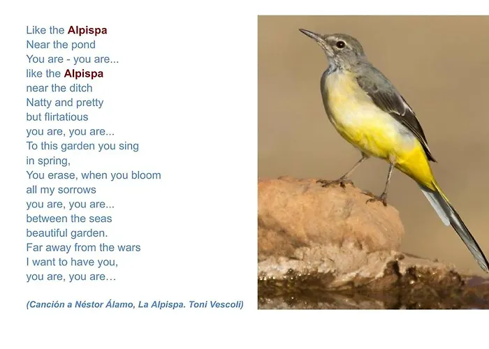 Casa Alpispa Apartman